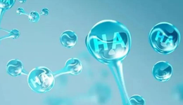 透明質(zhì)酸的多個(gè)升級(jí)方向，原料迭代能否推動(dòng)行業(yè)發(fā)展？