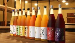 梅酒嶄露頭角，發(fā)展還需走對(duì)路子