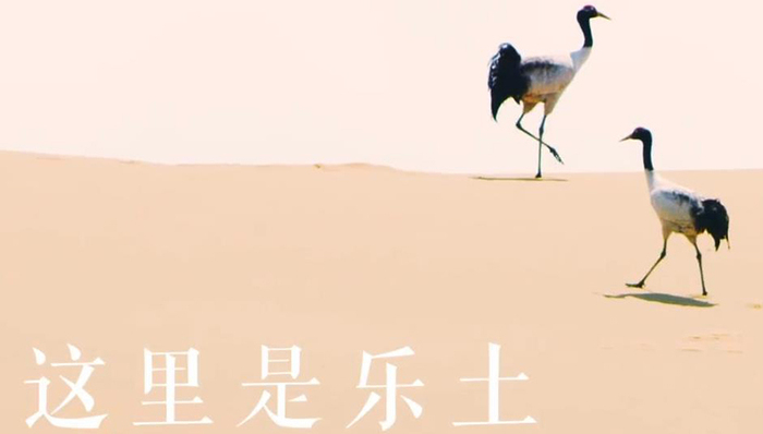 片单 | B站发布36部纪录片,《人生一串》《但是还有书籍》等片悉数回归