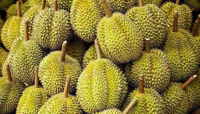 辛巴带货致榴莲涨价？榴莲批发商：有影响，但不是主因