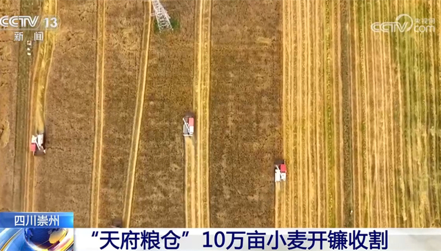 农时,丰产,大豆,田间管理,灌浆期,农技,夏粮,种子,关键期,黎城县