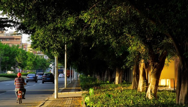 为了缓解堵车，广州首次设立“非机动车过渡区”