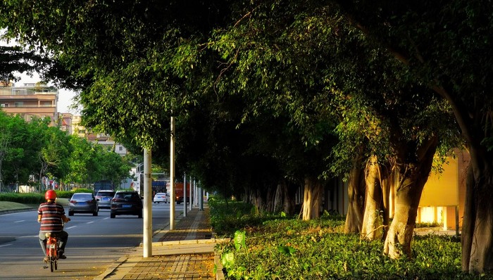 交通,一线城市,广州