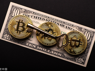 暴涨又暴跌，马斯克频频点名的“Memecoin”为何能成币圈新盘口？