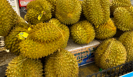 首批国内榴莲要来了，业内：预计数量有限