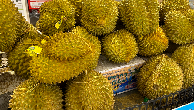 热带水果,榴莲,