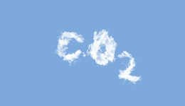 ESG的过去与未来：从分蛋糕，到做大蛋糕