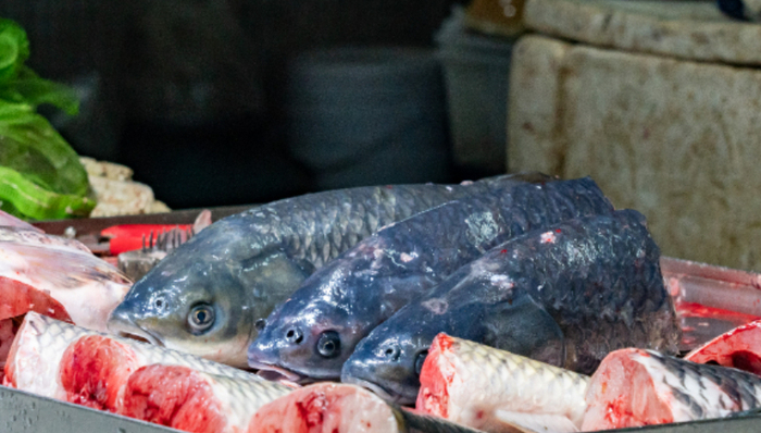 调研早知道 | 周期仍未见底，利润端已有改善迹象，这家股价腰斩的饲料公司能抄底吗？