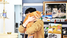 【圖集】從喂貓到代廚，鏡頭下的“上門經(jīng)濟(jì)”