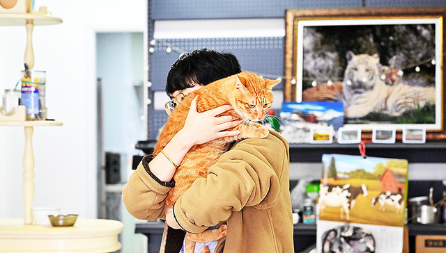 【图集】从喂猫到代厨，镜头下的“上门经济”