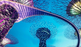 “点亮”新蓝海市场，植物照明成为跨界融合产业新亮点