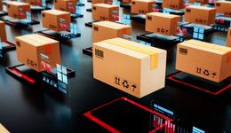 出海四小龙，谁会笑到最后？