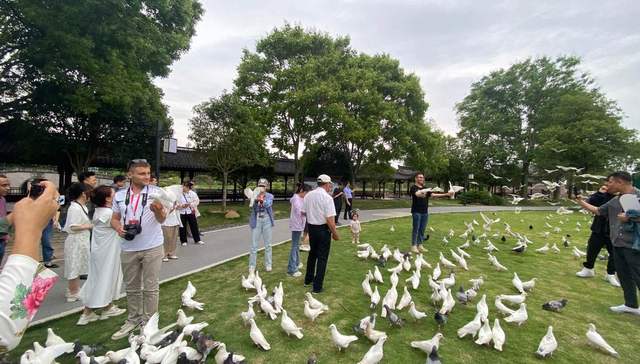 滕头村,乡村旅游,宜居,乡村建设,样板村,包心菜,绿色生态,采访团,万村,贫困村