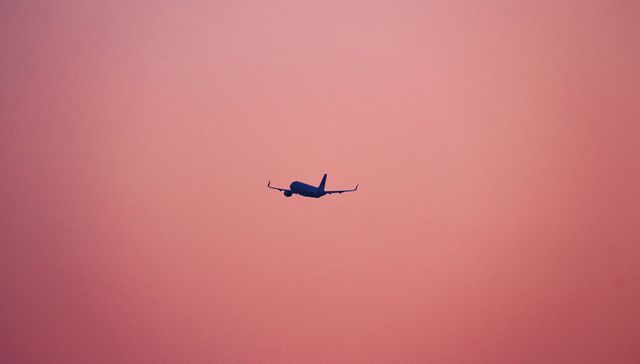 国际航线密集上新，加速回归的外航打算怎么拼?