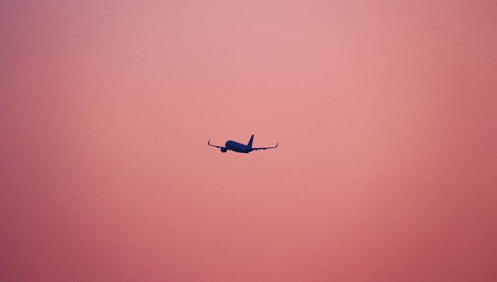 国际航线密集上新，加速回归的外航打算怎么拼?