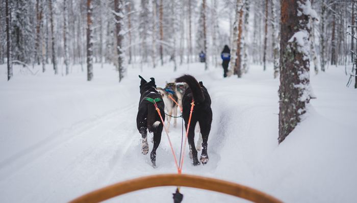 大厂人事 | 百度副总裁马杰离职 董明珠“接班人”孟羽童离开格力