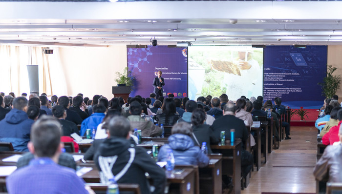 教育,香港,粤港澳