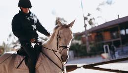 被误解的马术康复