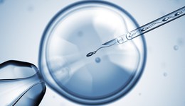 地方新聞精選 | 遼寧將18項(xiàng)輔助生殖項(xiàng)目納入生育保險(xiǎn) 北京部分公交車道假日對社會車輛開放