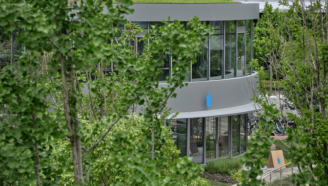 从苹果到蓝瓶，它们为何喜欢在店里植树？