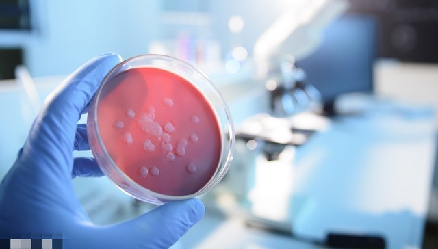 直通部委 | 4月全国报告法定传染病210万例 民政部将探索建立婚姻领域个人信用制度