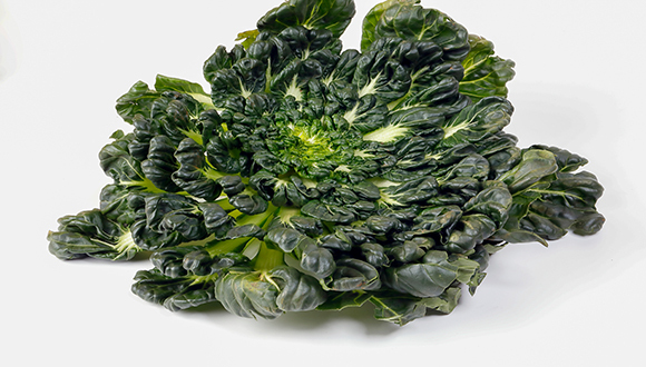 美国首款基因编辑蔬菜面世，去除了苦味和辛辣味的芥菜可做沙拉吃？