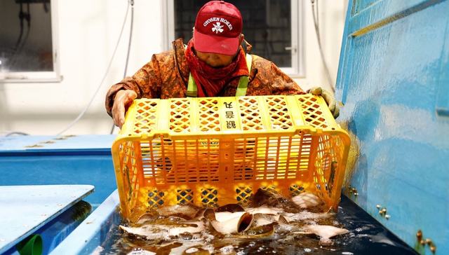 东京新闻,社论,日媒,核污染,水产品,民众,国际社会,此事,核污水排海不可原谅,福岛县