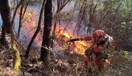 地方新聞精選 | 四川木里森林火災(zāi)超400人參與撲救 國(guó)內(nèi)首套標(biāo)準(zhǔn)化室外吸煙點(diǎn)標(biāo)識(shí)發(fā)布