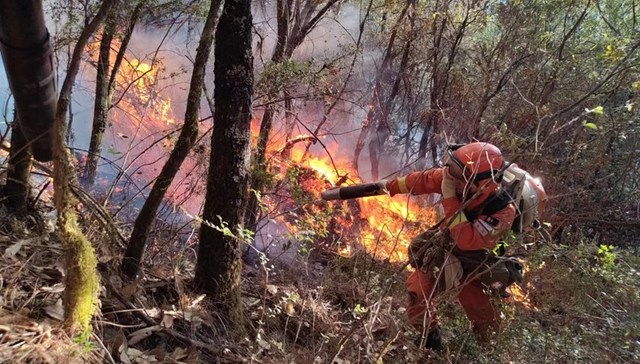 地方新闻精选 | 四川木里森林火灾超400人参与扑救 国内首套标准化室外吸烟点标识发布