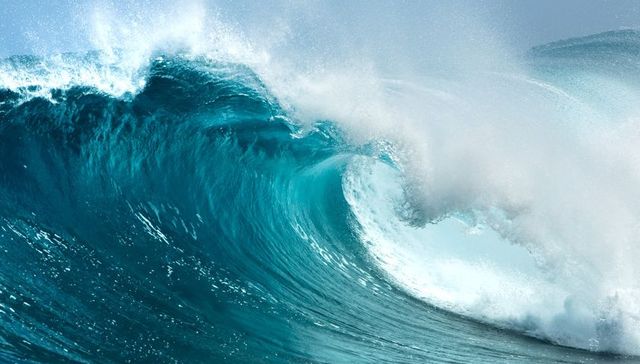 走访10家消金公司母行网点：客户经理均不了解旗下消费金融公司业务