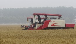 河南麥收遭遇嚴重“爛場雨”，省財政緊急下?lián)?億烘干資金