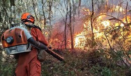 地方新聞精選 | 四川木里西昌雅江連發(fā)3起森林火災(zāi) 湖南株洲出臺(tái)未成年人犯罪記錄封存細(xì)則