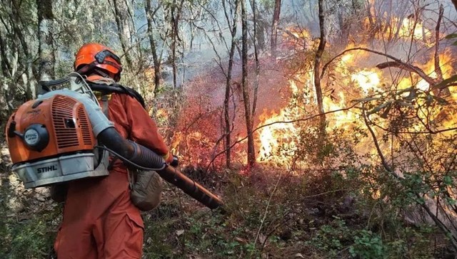 地方新闻精选 | 四川木里西昌雅江连发3起森林火灾 湖南株洲出台未成年人犯罪记录封存细则