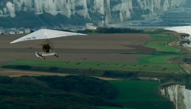 拼多多,商业模式,业绩,出海,人事变动