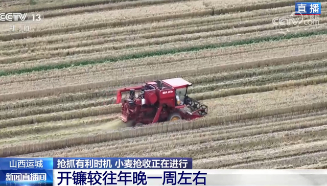 小麦,收割机,山西运城,天气原因,运城市,麦田,麦收,农机,盐湖区曲,地表