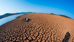 地方新聞精選 | 云南42個(gè)國(guó)家站最高氣溫破歷史紀(jì)錄 南京大屠殺登記在冊(cè)幸存者僅剩40人