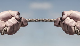 適者生存、恐弱慕強(qiáng)的社會(huì)向何處去？ | 編輯部聊天室