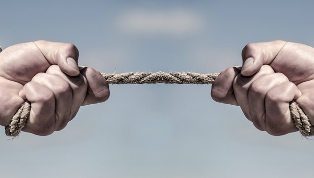 适者生存、恐弱慕强的社会向何处去？ | 编辑部聊天室