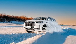 一周新车盘点｜奇瑞新旗舰瑞虎9正式上市 魏牌新摩卡造型大改仅提供一款车型