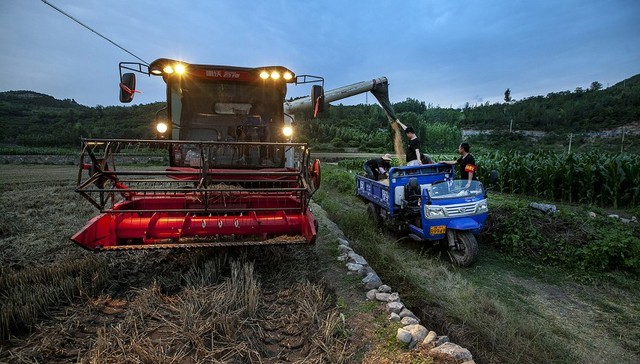 【深度】麦收遭遇烂场雨，如何告别“靠天吃饭”？