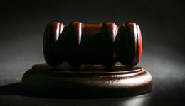 5年批捕65716人，“兩高”將出臺破壞環(huán)境資源保護犯罪量刑指導意見