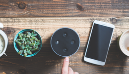 沉寂3年，大模型激活小度天猫精灵？