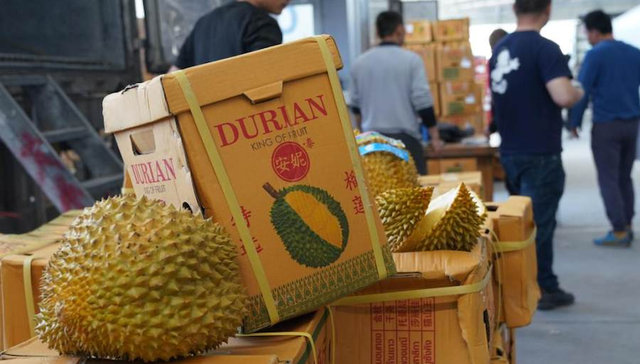 【深度】榴莲价格飞涨，为什么批发商们也和消费者一样难以实现“榴莲自由”？