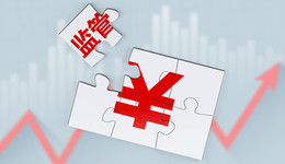 董事被刑拘知情不报，ST步森连收监管罚单，扣非净利已连亏9年