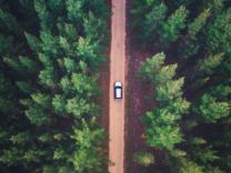 紅杉徹底擁抱本地化，全球三大區(qū)域?qū)⒉辉俟灿猛黄放?>
              </div>
      <div   id=