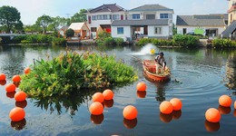 一圖讀懂長三角示范區(qū)生態(tài)環(huán)境報告：優(yōu)Ⅲ類水比例升至96.2%