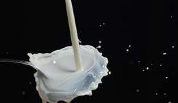 排队四小时的阿嫲手作，能带火水牛奶吗？