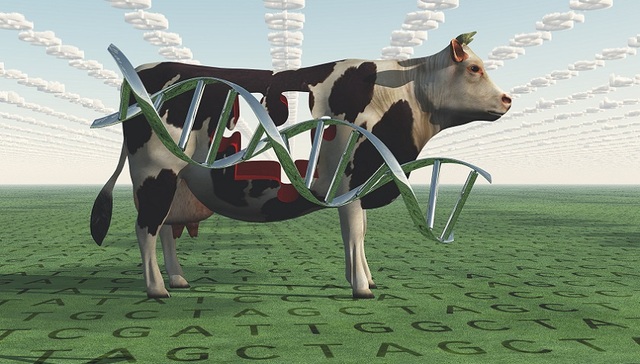 国内首只合成生物基金成立，这一概念为何受追捧？