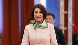 手机、芯片、汽车……多元化之路，董明珠从不认输