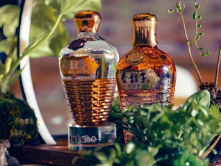 中国酒业协会金种子馥合香科技研发基地挂牌，两项科研成果发布